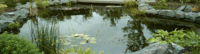 garden-pond-image